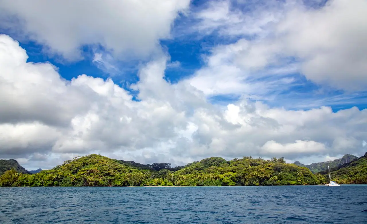 Tahaa