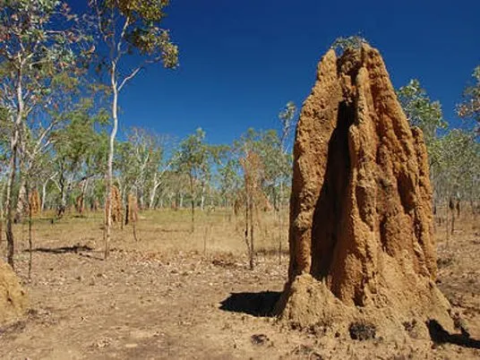 Kakadu National Park